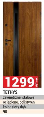 Drzwi TETHYS zewnętrzne, stalowe promocja w Merkury Market