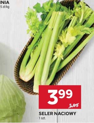 Seler naciowy Stokrotka promocja w Stokrotka