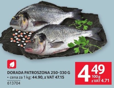 Dorada patroszona 250-330 g promocja w Selgros