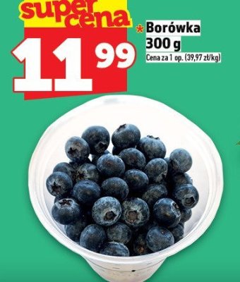 Borówka Borówka promocja w TOPAZ