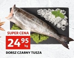 Dorsz czarny promocja