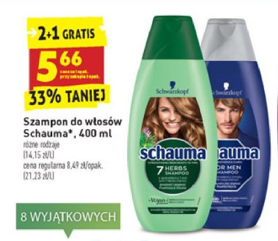 Szampon do włosów przeciwłupieżowy Schauma for men promocja