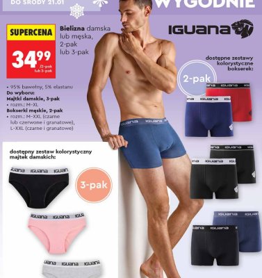 Bielizna damska IGUANA majtki 3-pak promocja w Biedronka