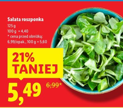 Sałata roszponka promocja w Lidl