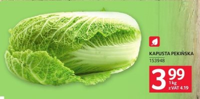 Kapusta pekińska promocja w Selgros