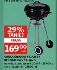 Grill kulisty rex promocja w Auchan