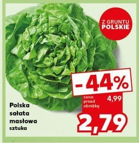 Sałata masłowa polska promocja