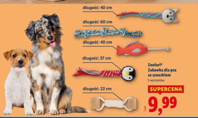 Zoofari zabawka dla psa ze sznurkiem promocja w Lidl