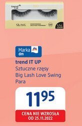 Sztuczne rzęsy trend IT UP Sztuczne rzęsy Big Lash Love Swing Faro promocja w Drogerie DM