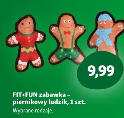 Zabawka FIT+FUN - piernikowy ludzik promocja w MAXI ZOO