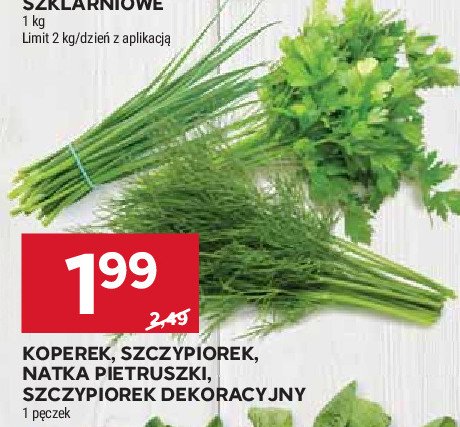 Natka pietruszki promocja