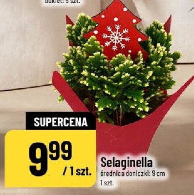 Gazetka, strona 14 promocja w POLOmarket