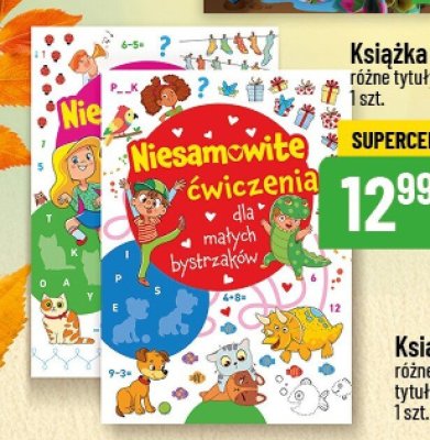 Niesamowite 膰wiczenia dla ma艂ych bystrzak贸w promocja w POLOmarket