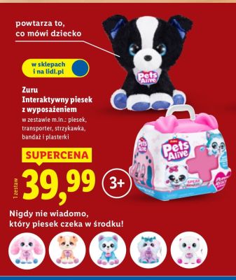 Interaktywny piesek z wyposażeniem Zuru Pets Alive promocja w Lidl