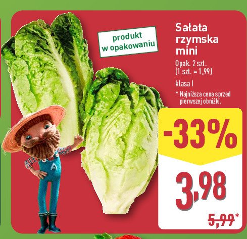 Sa艂ata rzymska mini promocja