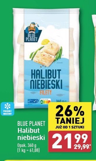 Halibut niebieski filety Blue planet promocja