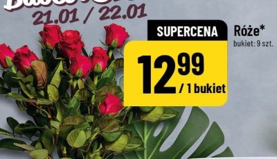 Róże 9 szt. promocja w POLOmarket