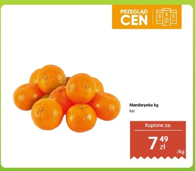 Mandarynka luz promocja w Dino