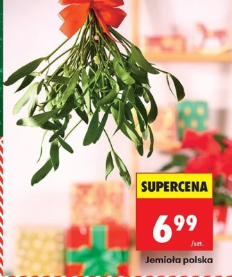 Jemioła polska Biedronka promocja w Biedronka