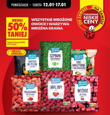 Wszystkie warzywa mrożone Mroźna Kraina DRUGIE -50% promocja w Biedronka