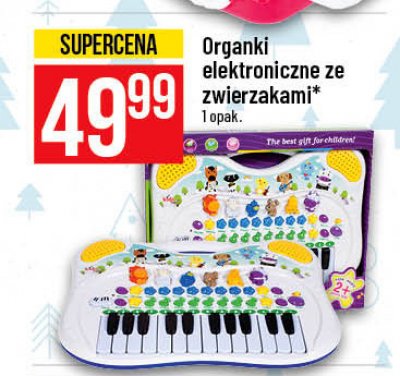 Organki elektroniczne ze zwierzakami promocja