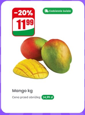 Mango  promocja w Dino