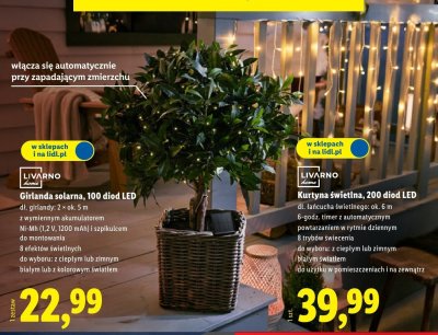 Girlanda solarna LIVARNO, 100 diod LED promocja w Lidl