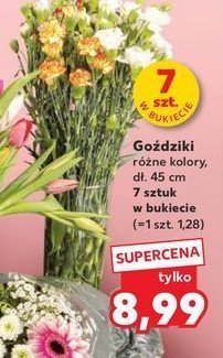 Goździki bukiet promocja