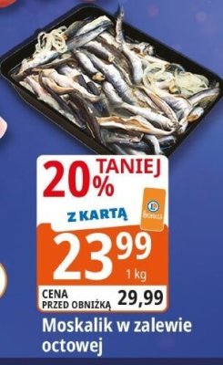 Moskalik w zalewie octowej promocja w Leclerc