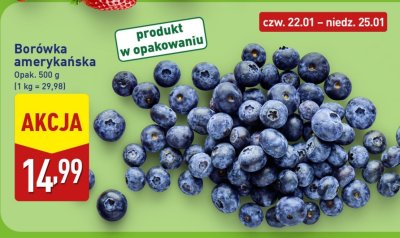 Borówka amerykańska promocja w Aldi