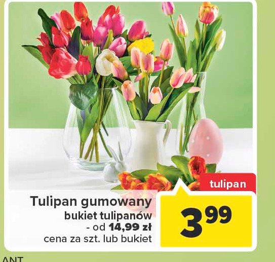 Bukiet tulipanów gumowanych promocja
