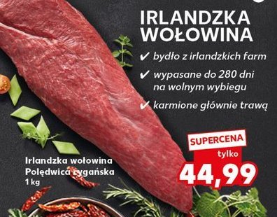 Polędwica cygańska Z. M. WARMIA promocja w Kaufland