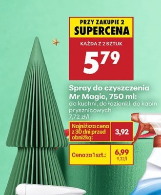 Spray do czyszczenia Mr Magic, 750 ml różne rodzaje do kuchni, do łazienki, do kobiet przysmaczowych promocja w Biedronka