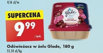Żel do łazienki luscious cherry & peony Glade by brise promocja w Biedronka