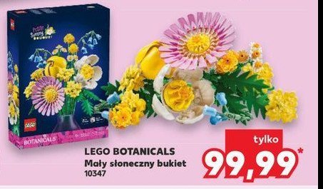 Klocki 10347 Lego promocja w Kaufland