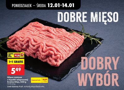 Mięso mielone z łopatki wieprzowej Kraina Mięs, 500 g promocja w Biedronka