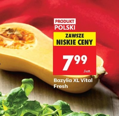 Bazylia XL promocja w Biedronka