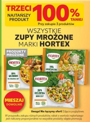Zupy mrożone wszystkie rodzaje promocja w Kaufland