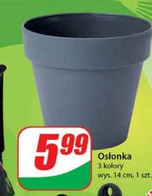 Os艂onka promocja
