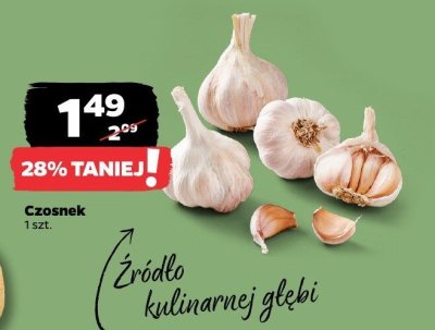 Czosnek 1 szt. Netto promocja w Netto