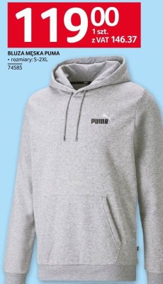 Bluza m臋ska promocja w Selgros