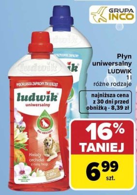 Płyn uniwersalny 1 l, różne rodzaje LUDWIK promocja w Carrefour