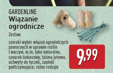 Łyko do wiązania promocja w Aldi