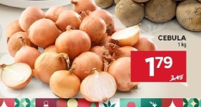 Cebula promocja w Stokrotka