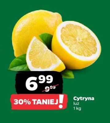 Cytryna promocja w Netto
