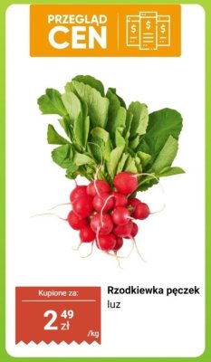Rzodkiewka pęczek luz promocja w Biedronka