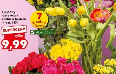 Tulipany 35 cm promocja w Kaufland