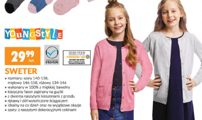 Sweter dziecięcy szary 140-158 Youngstyle promocja