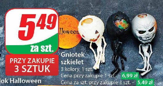 Gniotek szkielet promocja w Dino