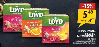 Herbata Loyd Tea Piramidki (cały asortyment) promocja w Arhelan